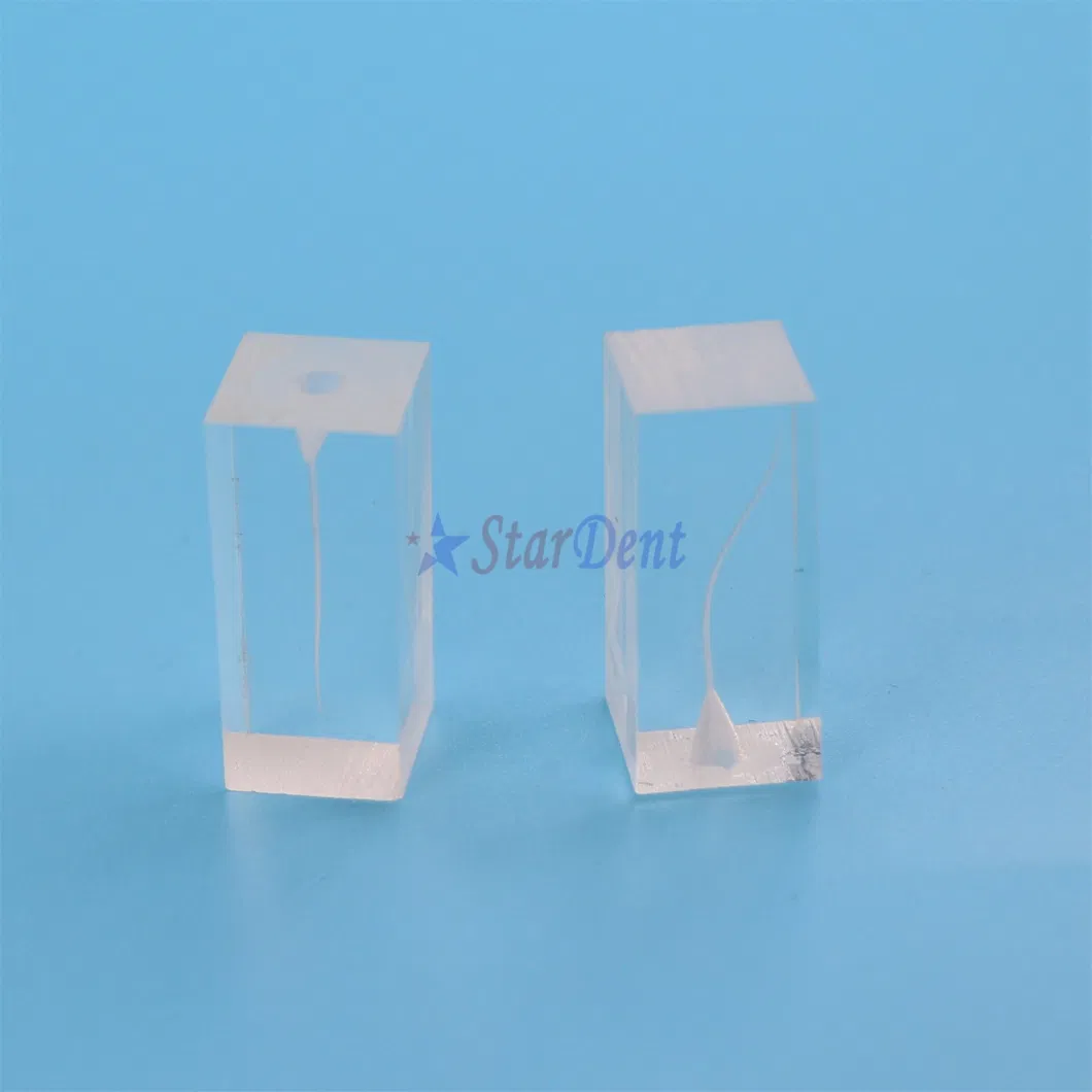 Dental Transparent Resin Endo Training Block Endodontics Student Teaching Practice Model Dentistry Accessories for Training