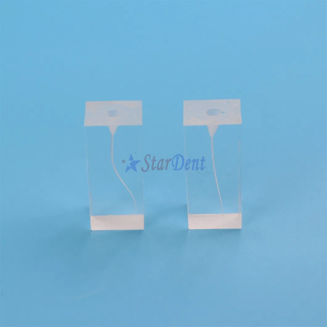 Dental Transparent Resin Endo Training Block Endodontics Student Teaching Practice Model Dentistry Accessories for Training